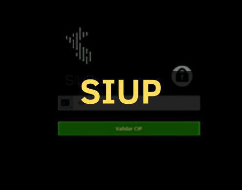 Sistema de Información de Unidades Policiales (SIUP)