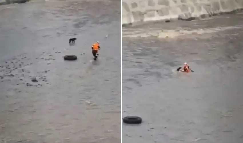 Continúa la búsqueda del policía que ingresó al río Rímac para rescatar a un perrito Continúa la búsqueda del policía que ingresó al río Rímac para rescatar a un perrito