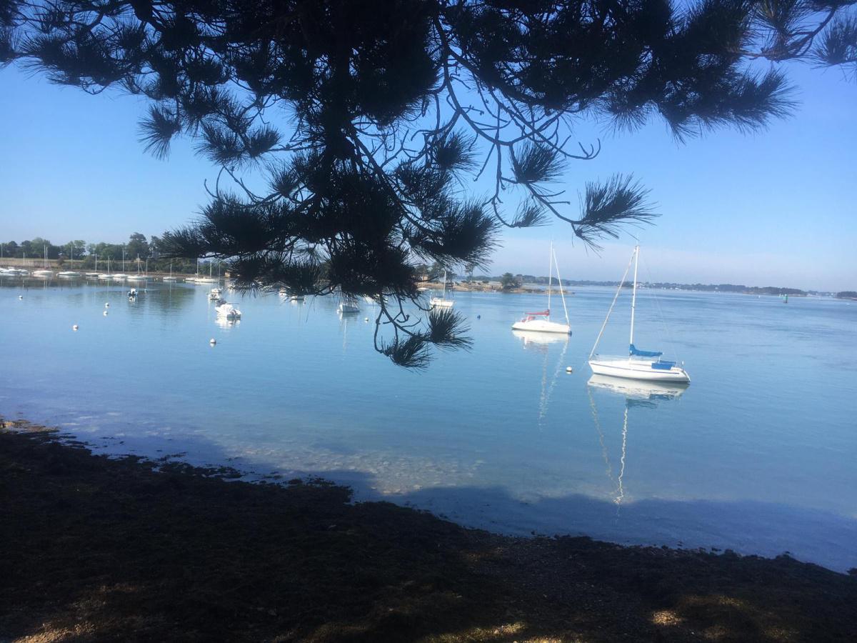Mission Océan, une journée pour sensibiliser autour de l'écosystème marin Mission Océan, une journée pour sensibiliser autour de l'écosystème marin