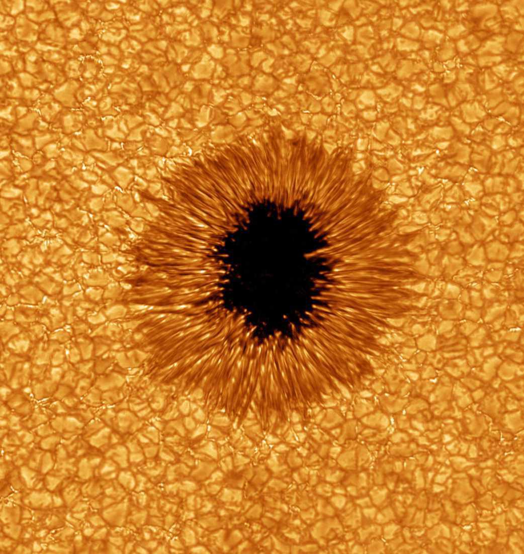 [PEAC/CHRONIQUES SCIENTIFIQUES] Les taches solaires : un danger pour la Terre ?