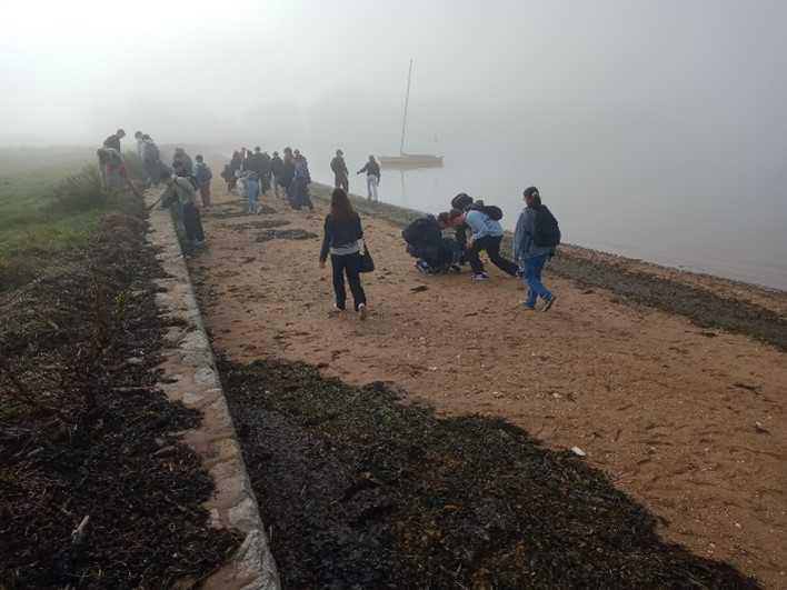 [TERMINALES] Journée éco-nettoyage du littoral sur l'Ile d'Arz