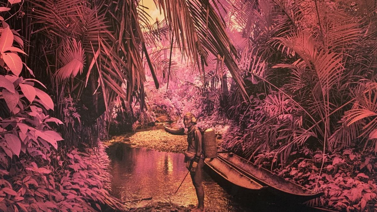 [CiAV] Exposition "Hommage" du photographe Franck Desplanques