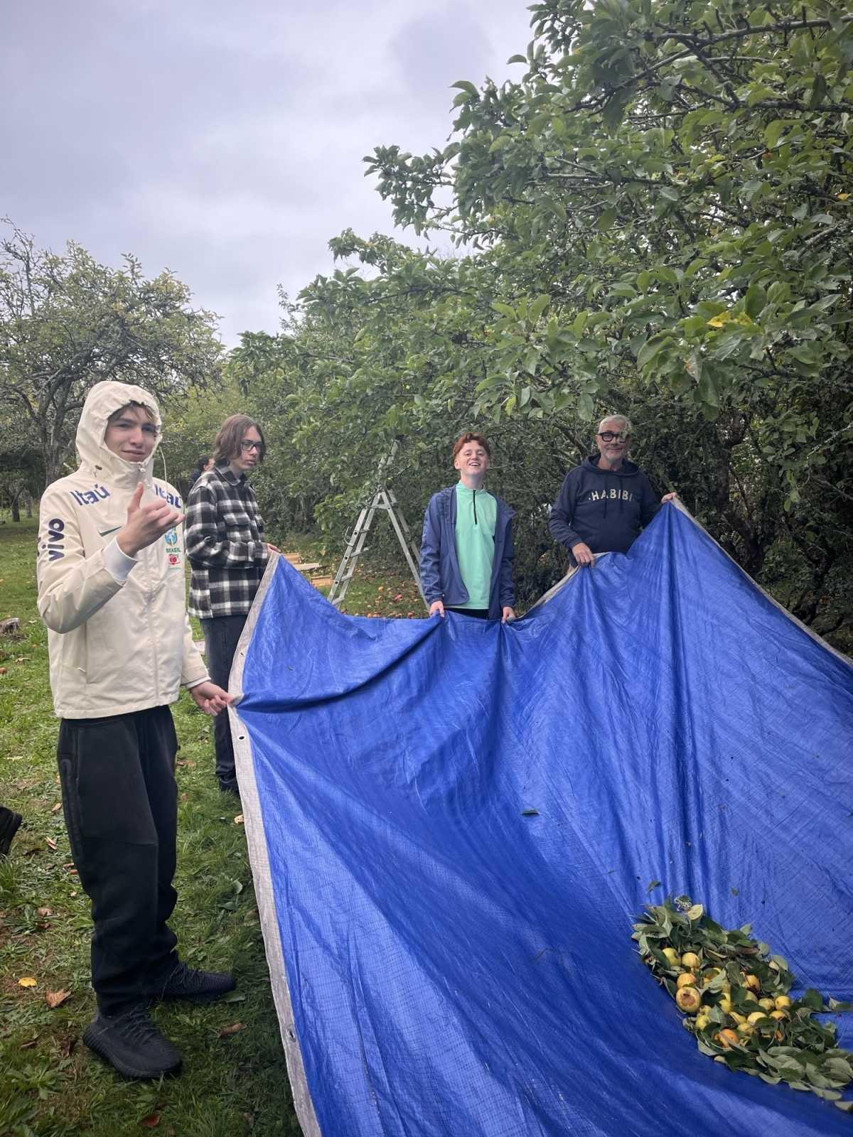 [ST-GEORGES] Une matinée de cueillette de pommes 