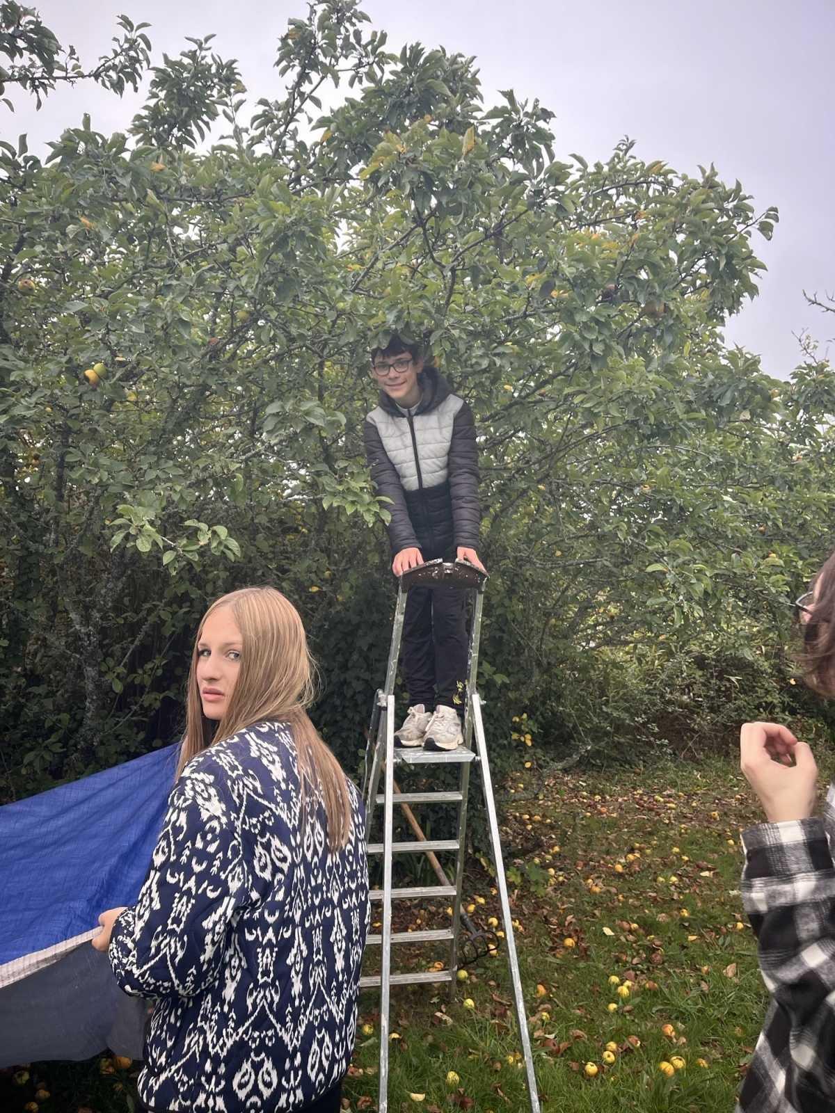 [ST-GEORGES] Une matinée de cueillette de pommes 