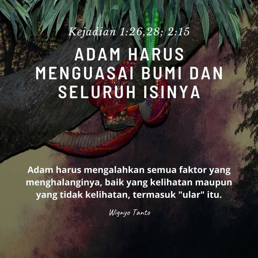 Manusia Seharusnya Menjadi Penguasa di Bumi Manusia Seharusnya Menjadi Penguasa di Bumi