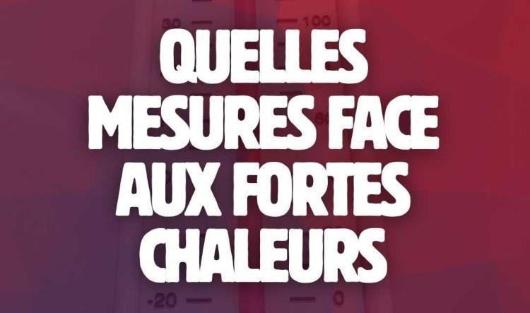 Sondage : quelles mesures face aux fortes chaleurs ?