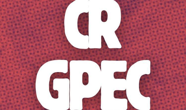 Compte rendu : GPEC RRG du 13 mai 2025