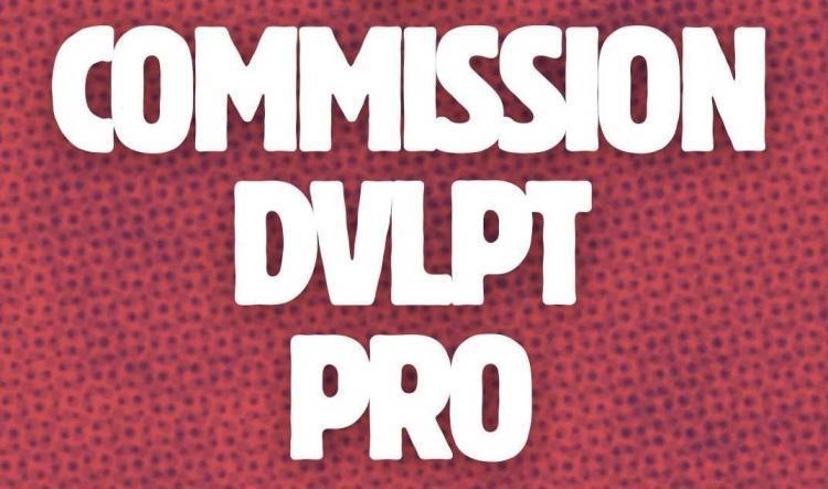 Compte Rendu de la commission Développement Professionnel