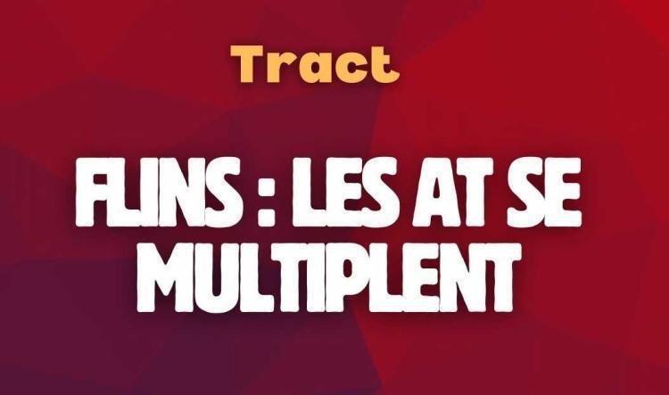 Flins : les accidents se multiplient