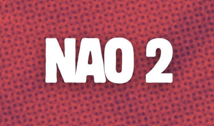 Compte rendu NAO 2 RRG