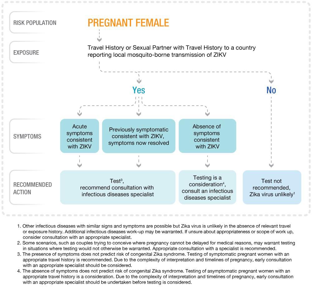 Zika Virus - Testing Algorithm