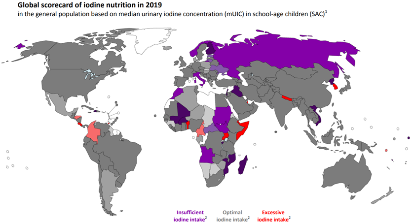 Global Iodine Nutrition