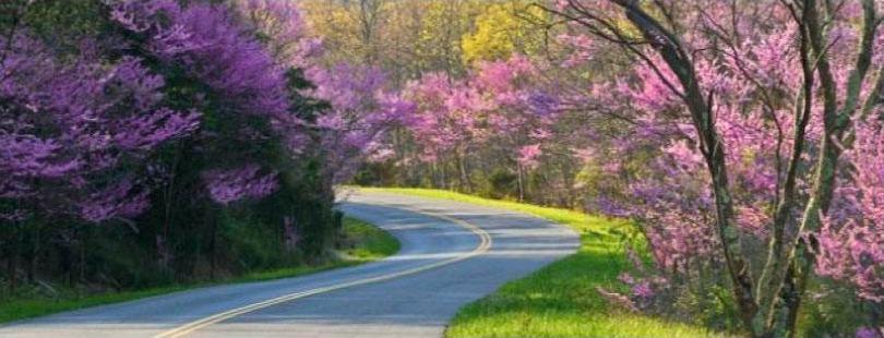 Cafh é um caminho de desenvolvimento espiritual Cafh é um caminho de desenvolvimento espiritual