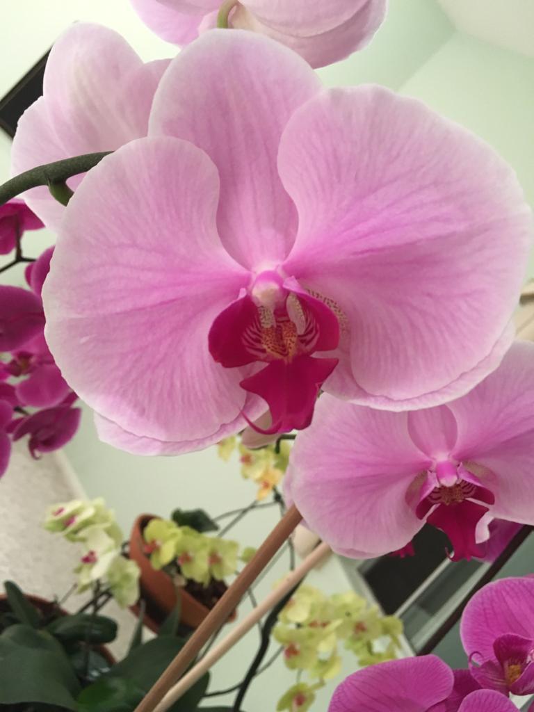 1. Om Ank Buhm | recitado 1. Om Ank Buhm | recitado