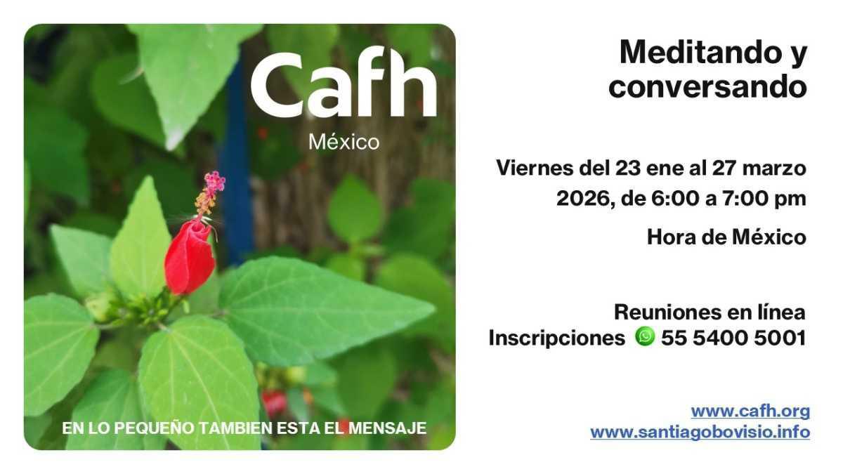 Meditando y Conversando | Cafh México