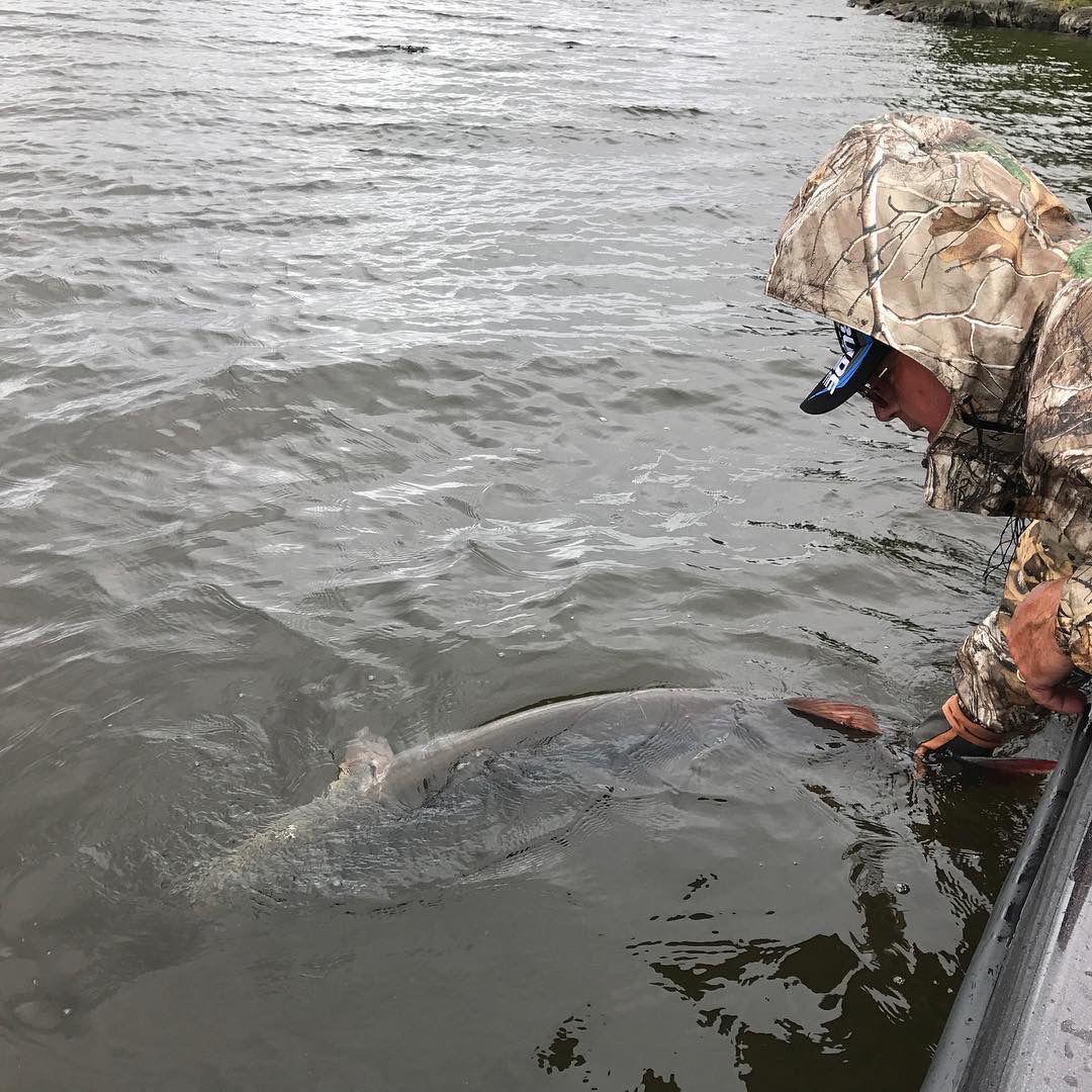 Total Package Trolling for Fall Musky Total Package Trolling for Fall Musky