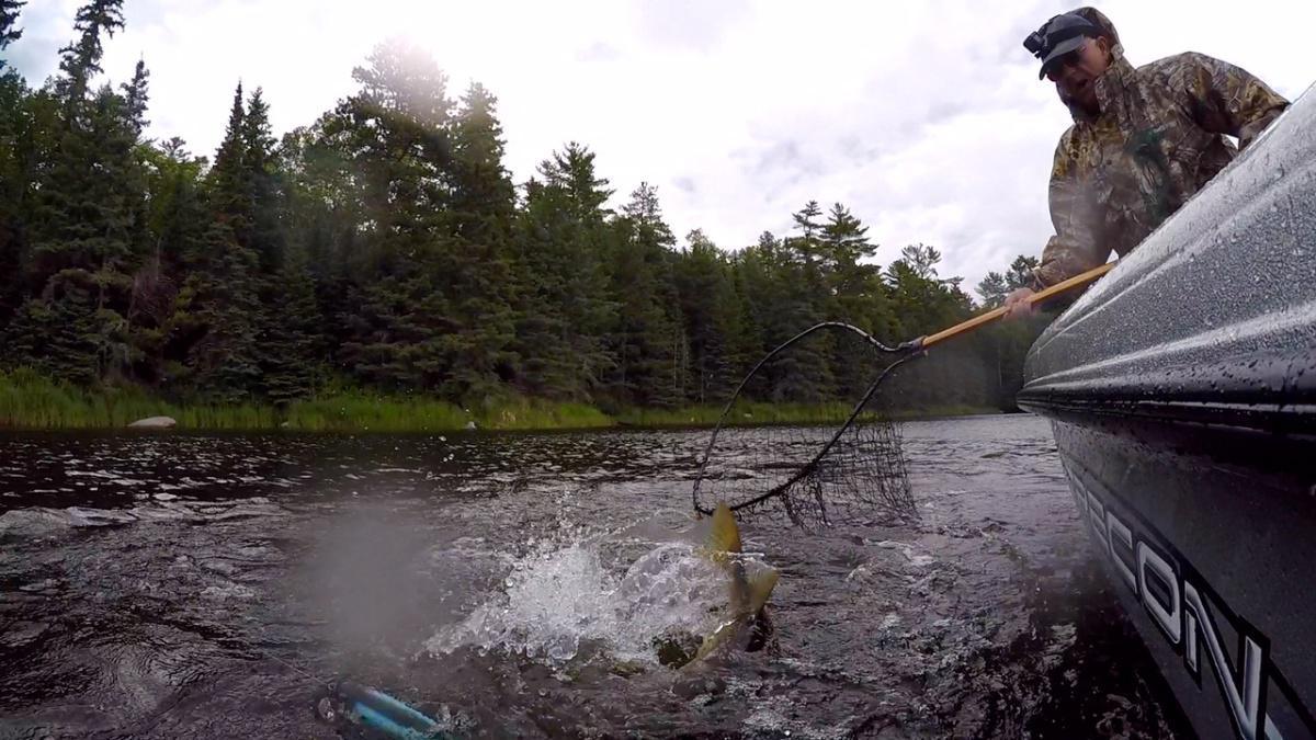 Total Package Trolling for Fall Musky Total Package Trolling for Fall Musky