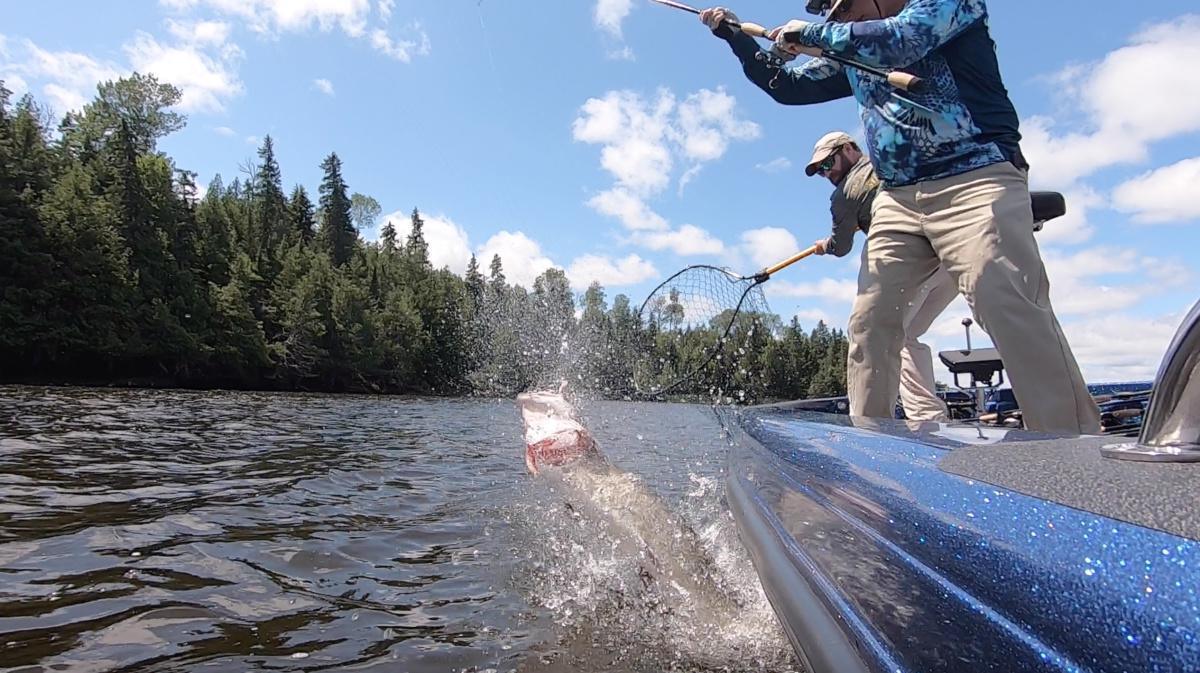 It Only Takes One Cast To Make A Season! It Only Takes One Cast To Make A Season!