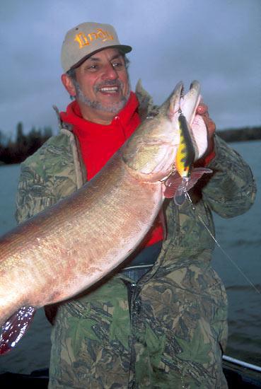 How to Beat Musky Pressure : Season Opener Strategy How to Beat Musky Pressure : Season Opener Strategy