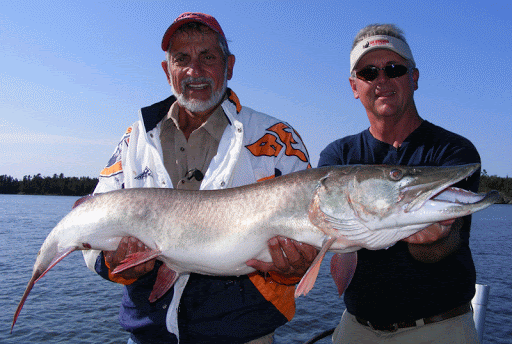 How to Beat Musky Pressure : Season Opener Strategy How to Beat Musky Pressure : Season Opener Strategy