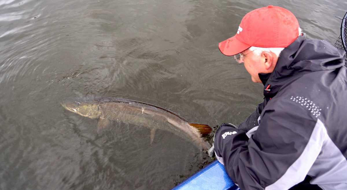 Keys To Early Season Musky Success