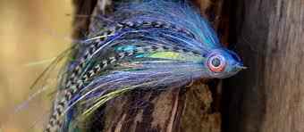 Double Down on Downsizing for Early Season Muskies Double Down on Downsizing for Early Season Muskies