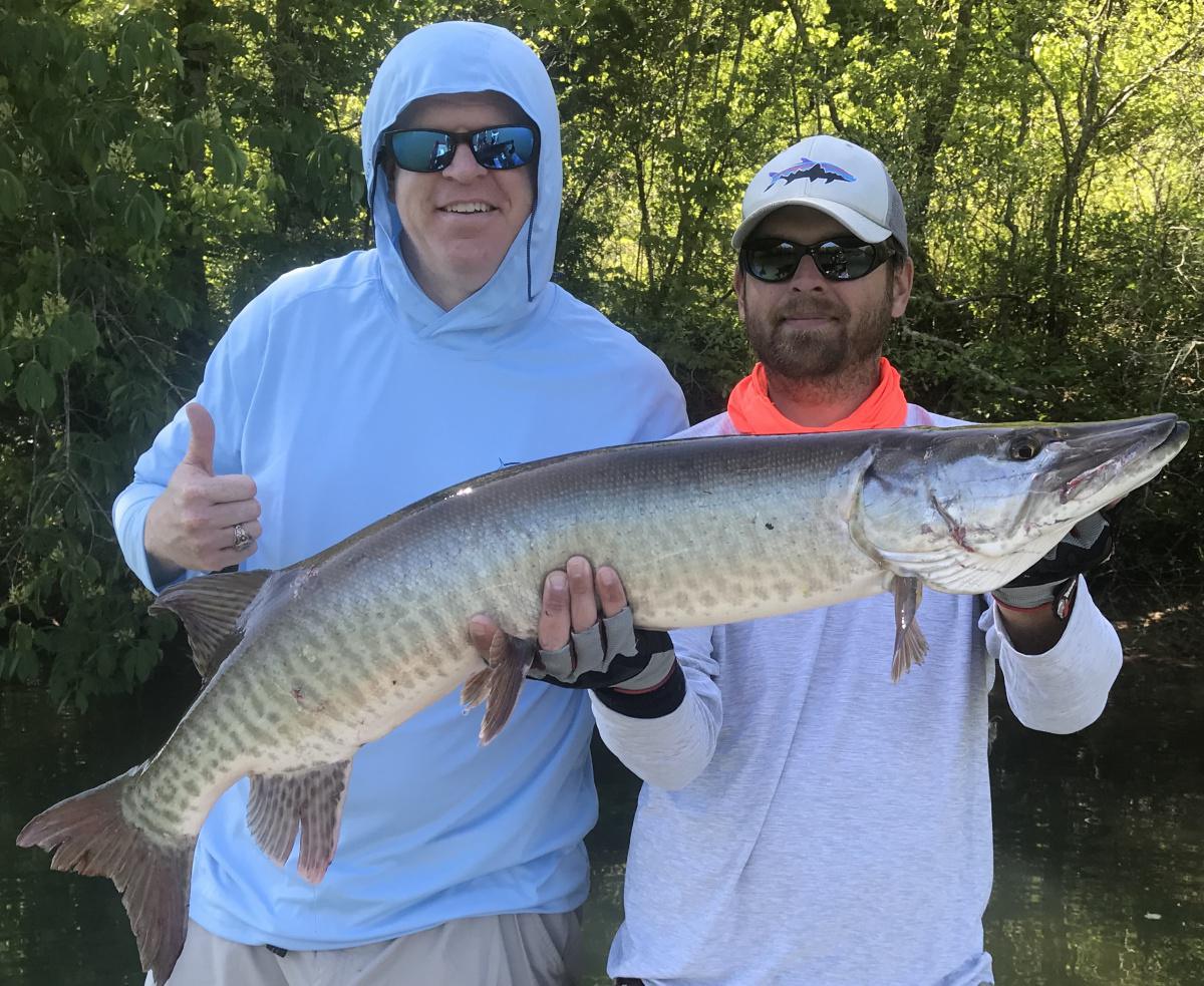 Double Down on Downsizing for Early Season Muskies 