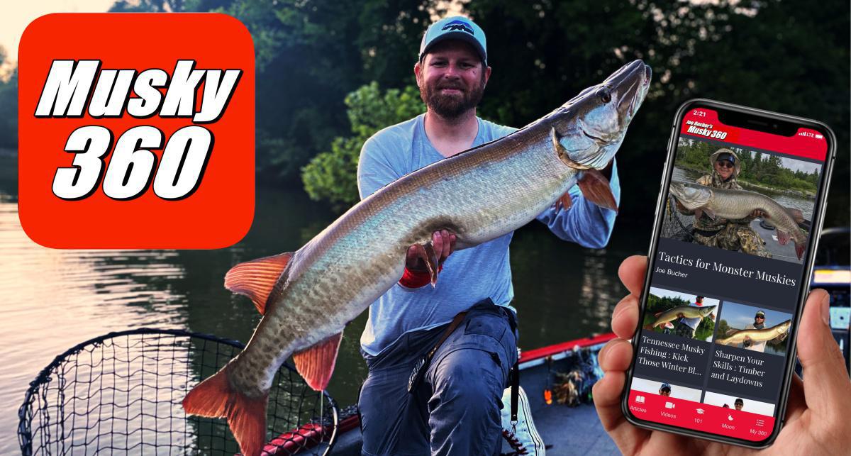 Musky Fishing 101 : The Beginners Guide 