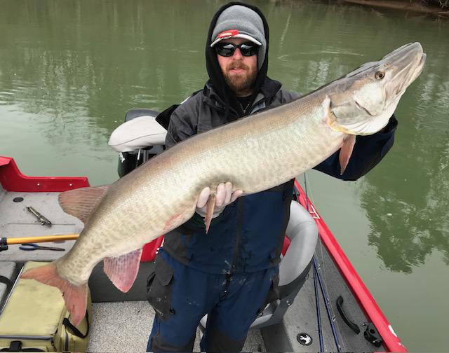 Winter Musky Fishing Equals Broken Gear. 