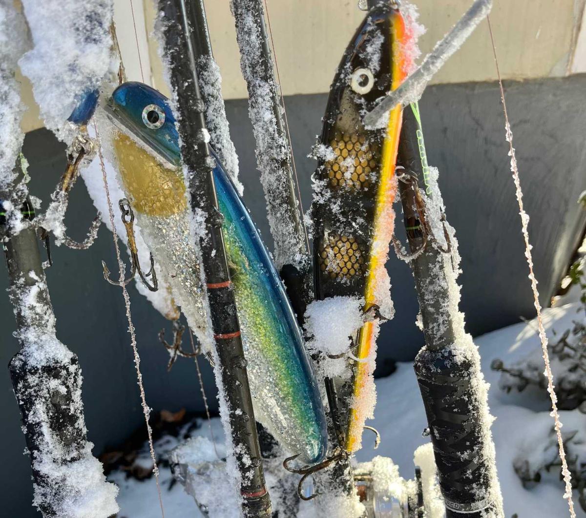 Wicked Cold Southern Musky Trolling 