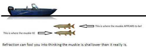 How do Muskies See? Muskies, Light and Reflection 