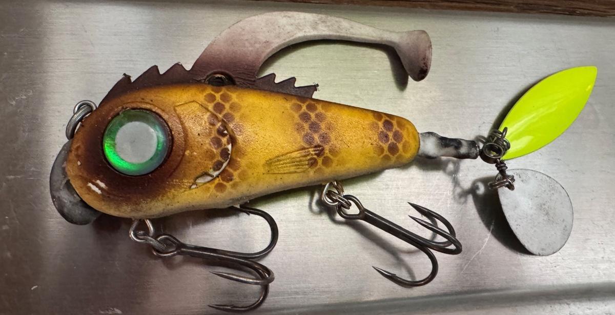 The Critter: Steve’s Mods from Factory Deadly to Guide Dialed