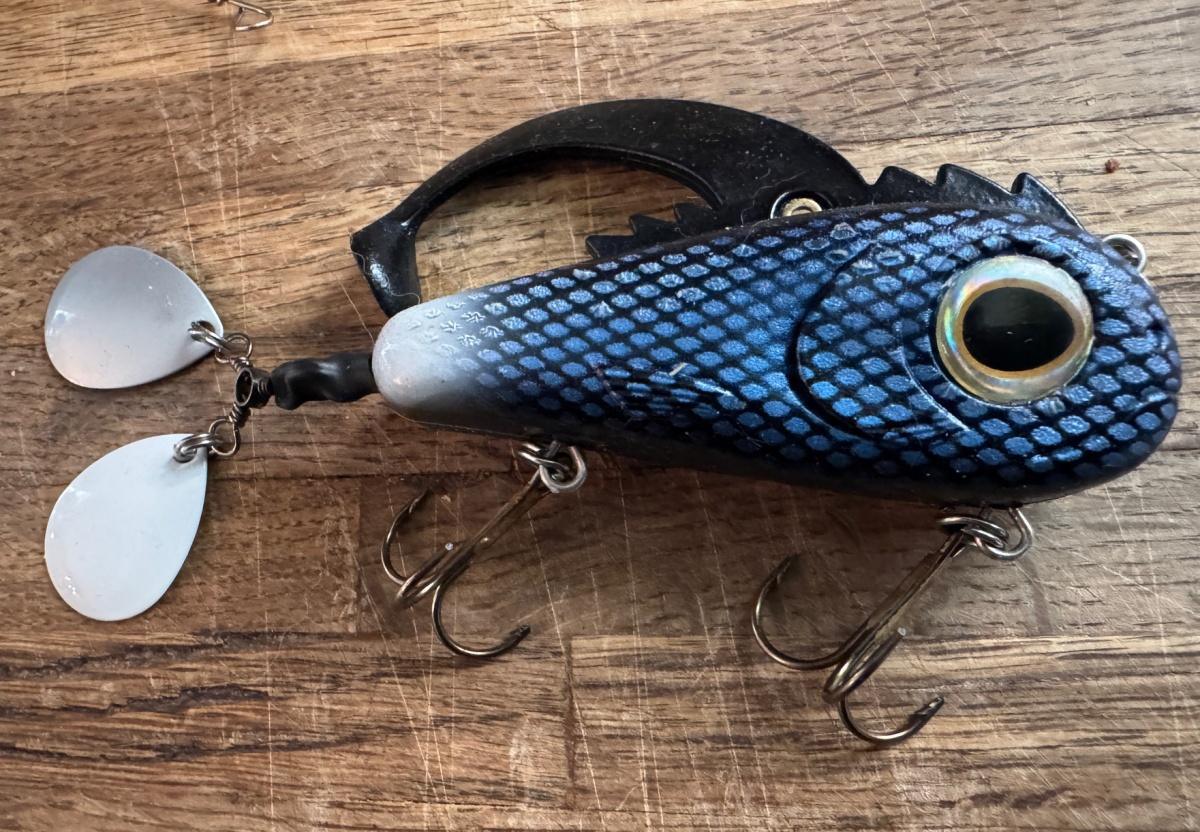 The Critter: Steve’s Mods from Factory Deadly to Guide Dialed