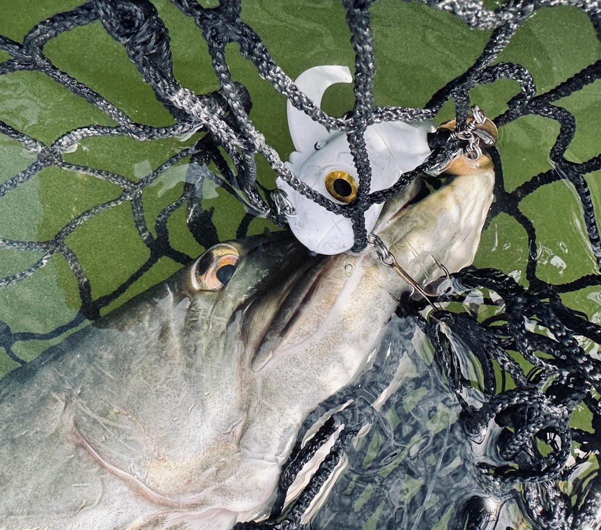 The Critter Little Lure, Monster Results & Maximum Versatility.