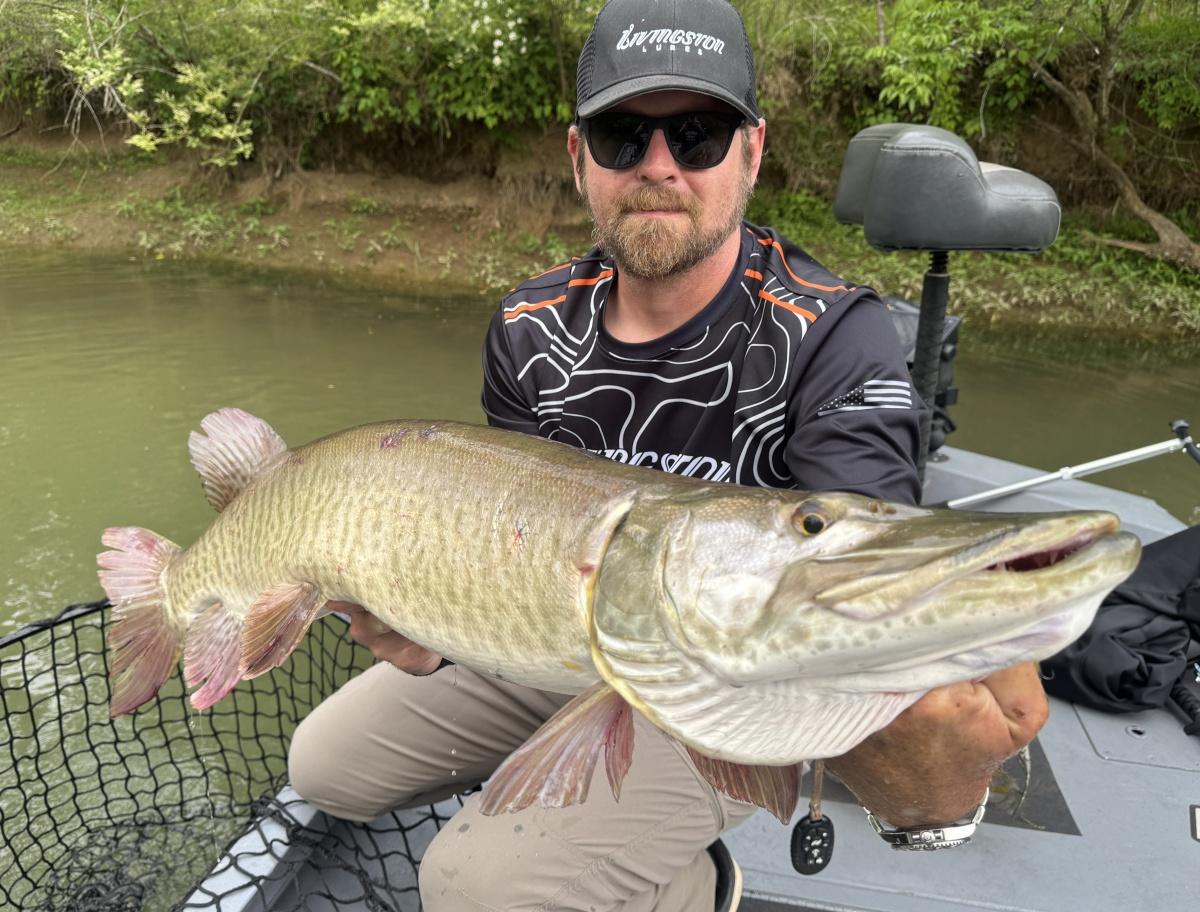 Stop Chasing Musky Mojo Stop Chasing Musky Mojo
