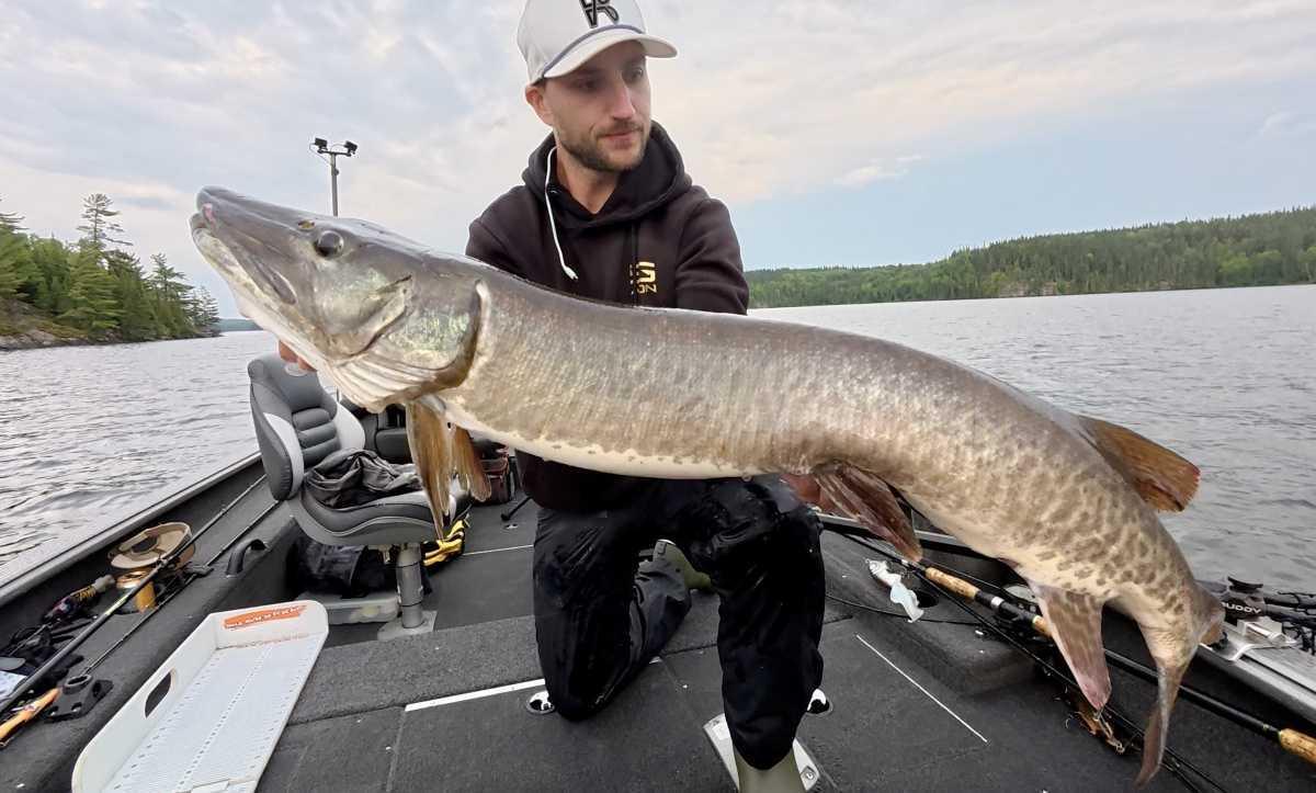 A Summer of Changes: What the 2026 Musky Season Taught Us A Summer of Changes: What the 2026 Musky Season Taught Us