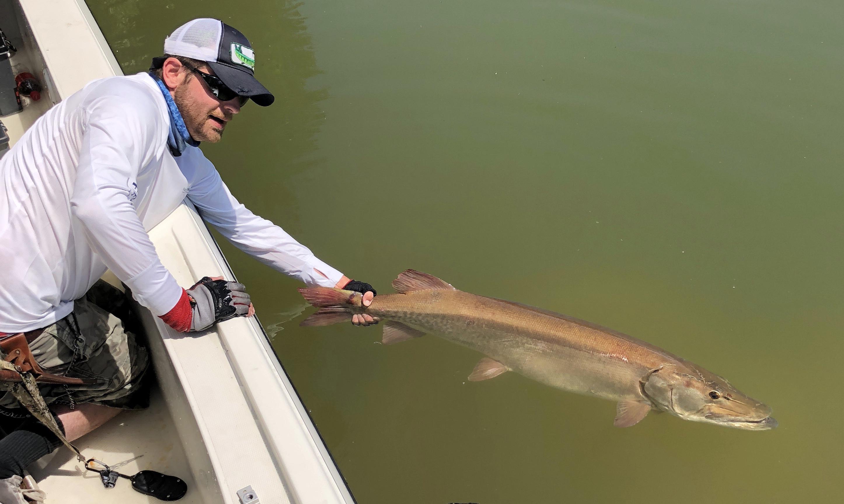 Musky Fishing Catch and Release Skils