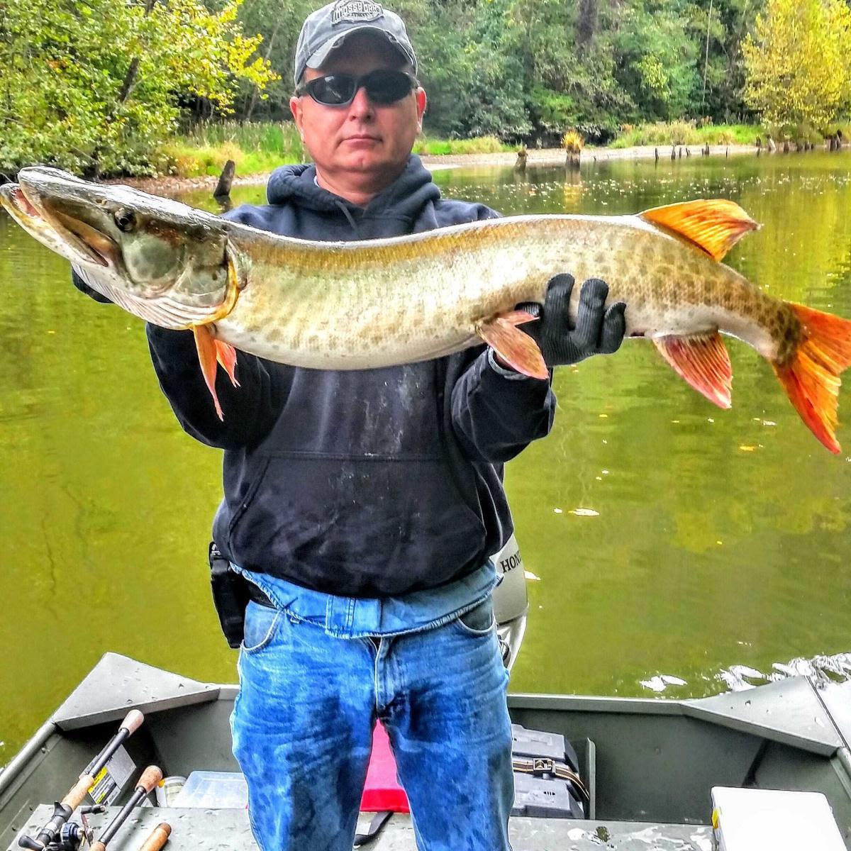 West Virginia musky caught on a crane bait