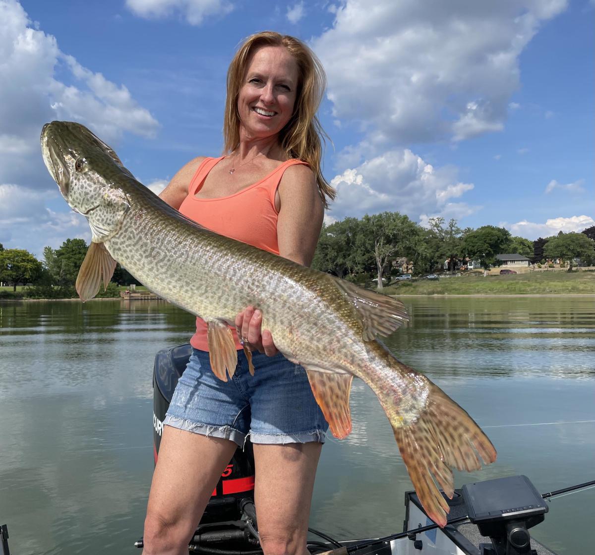 44 inch Tiger Minnesota.