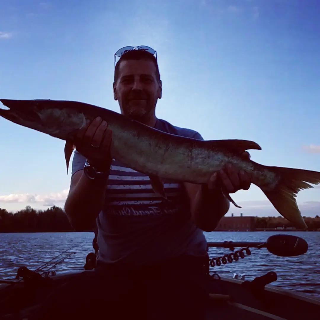 TopRaider in Tennessee Shad