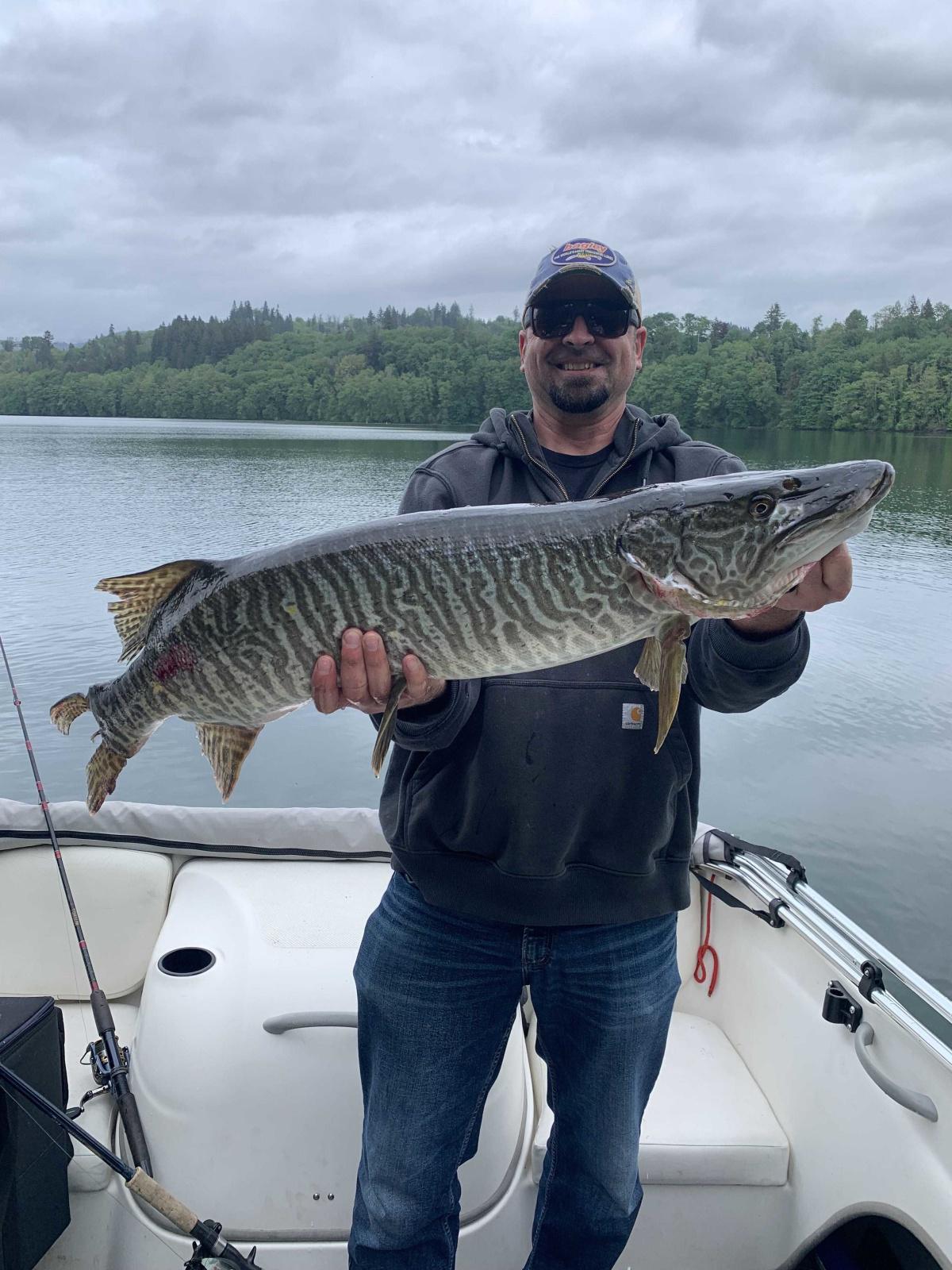 Big Tiger Muskie 