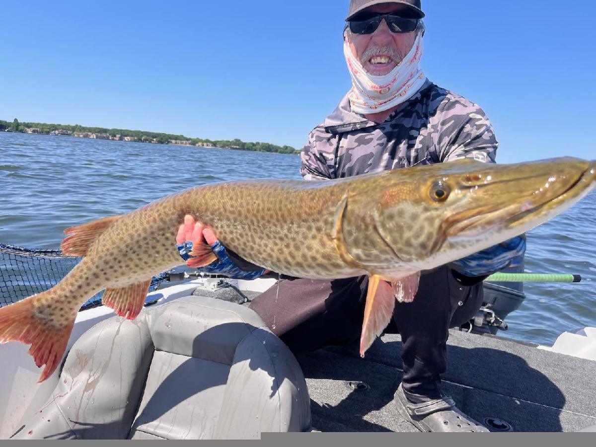 A friend of mine caught this 48 on Lake St. Clair on a Titan.