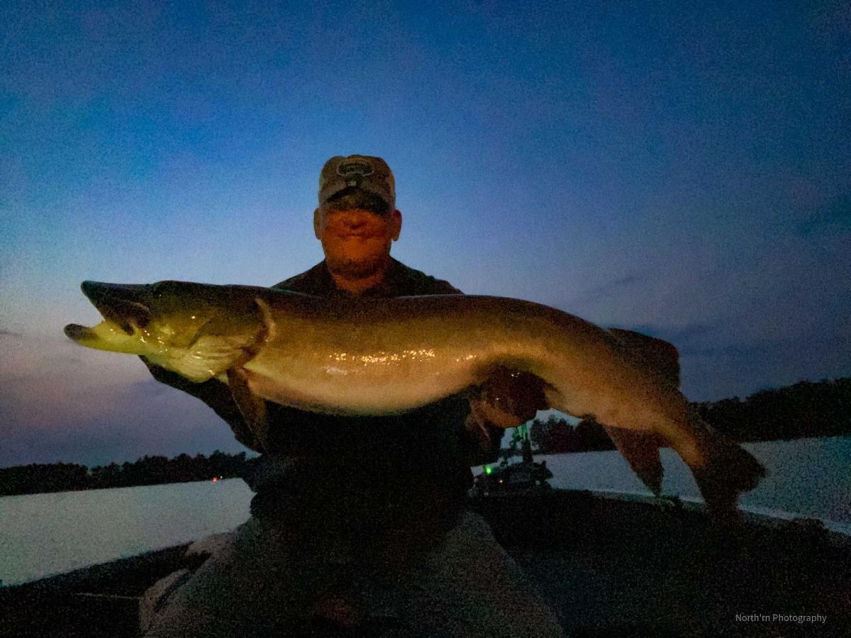 Chippewa Flowage 46 and a half on  LeLure Globe-Green Crackle