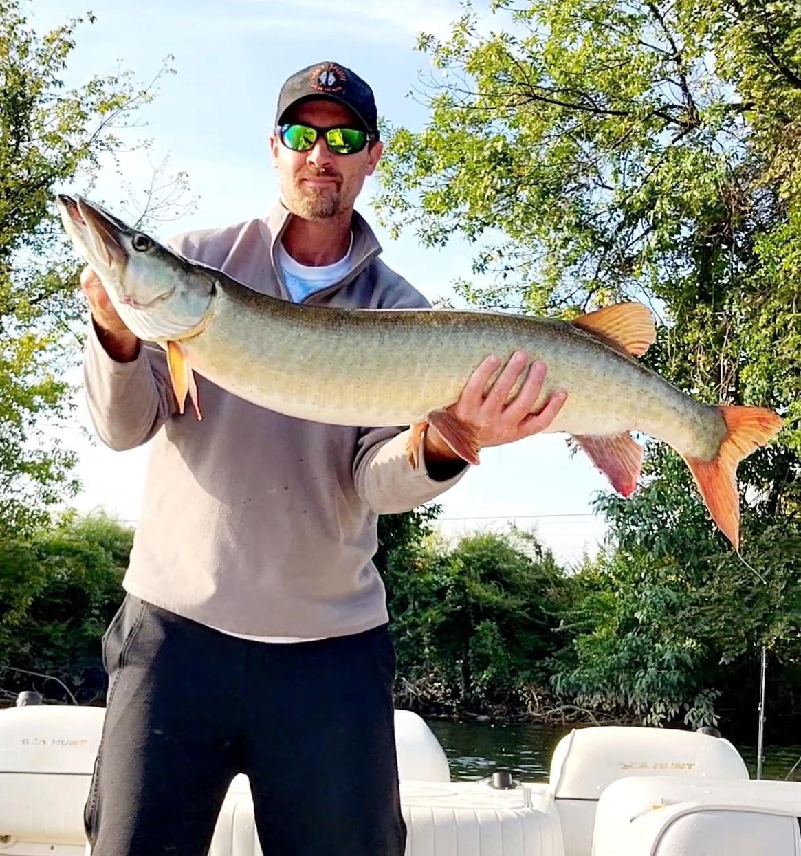 Delaware musky. caught trolling homemade glidebait from Fishburgh Custom Lures
