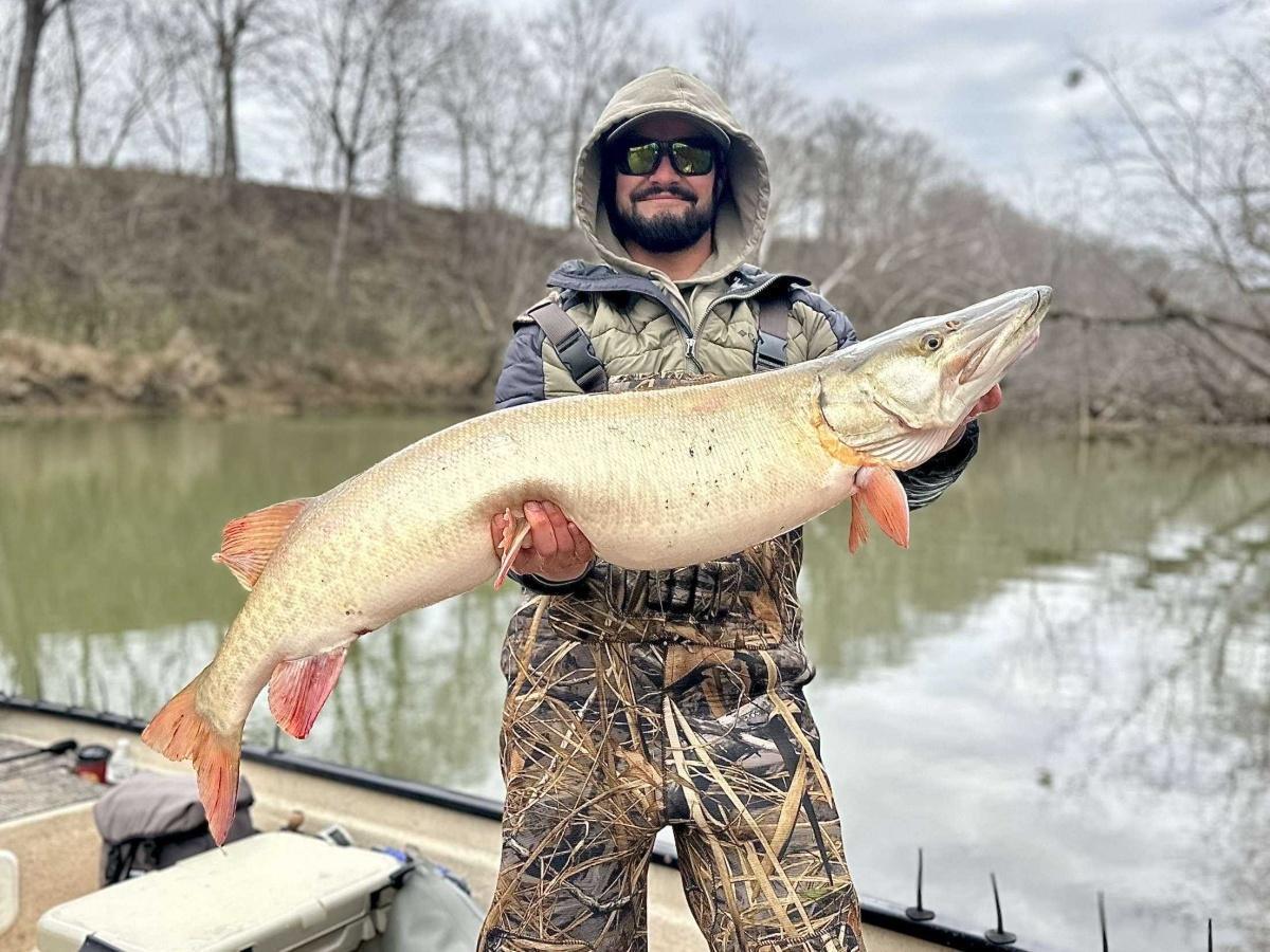 Fat February Kentucky musky