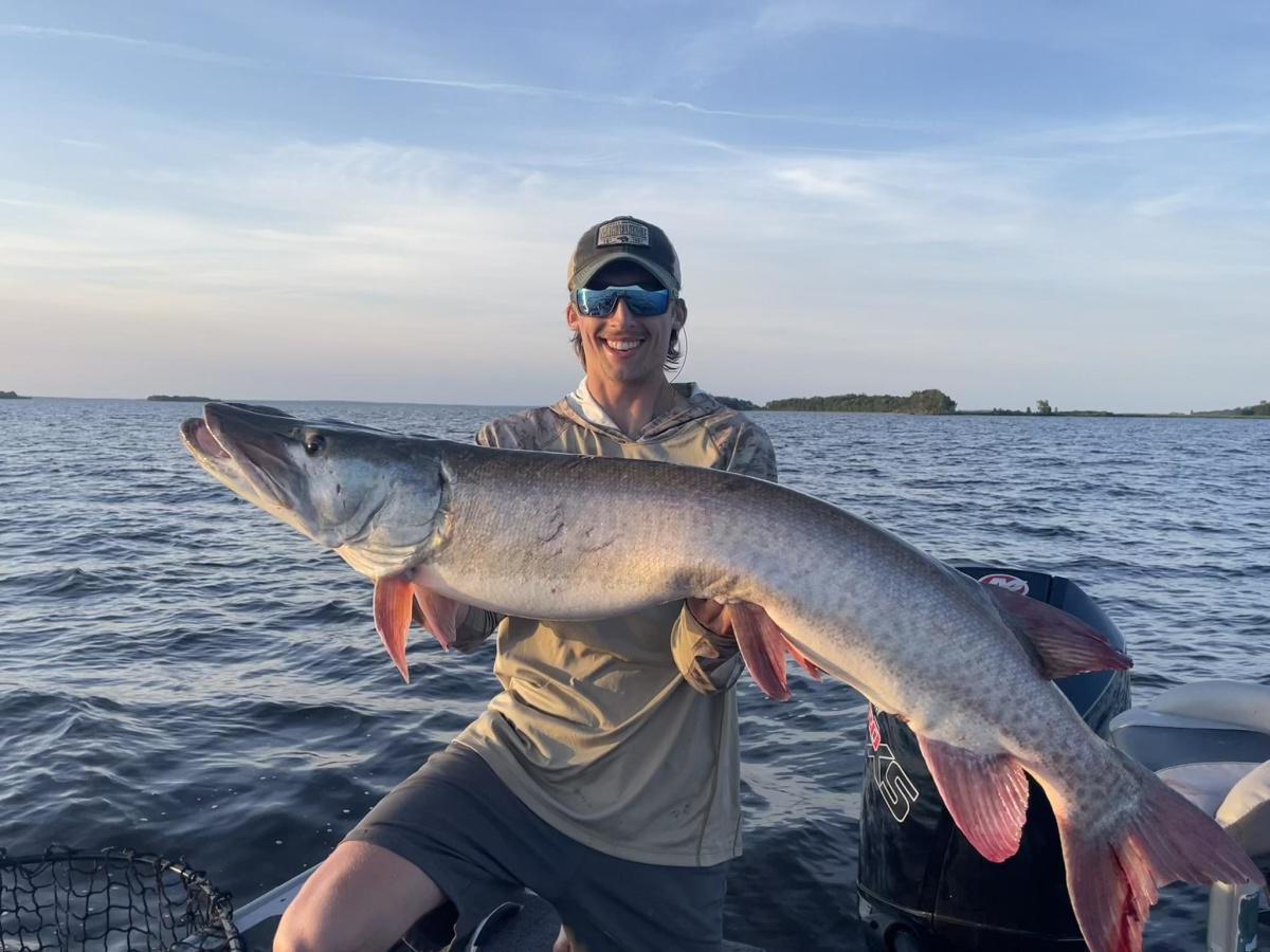 51  on a 29 Crown Royal (purple) Kramer Brothers 9 Revolution Ticker in Lake of the Woods