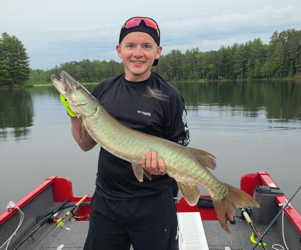 musky on a size 3 mepps spinner