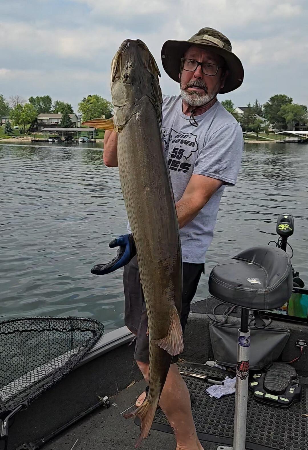 PB IOWA muskie caught trolling a Ridgway 10 inch crankbait.
