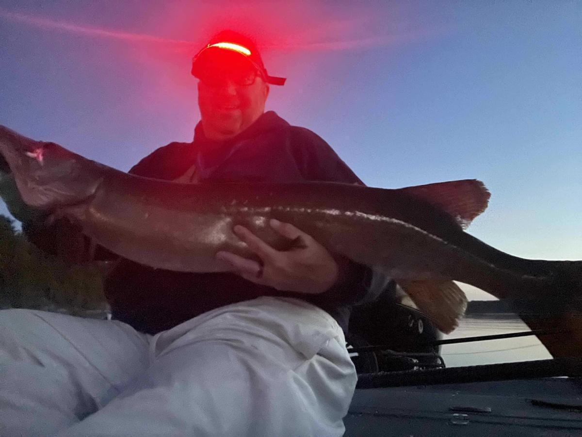French River. Night trolling.