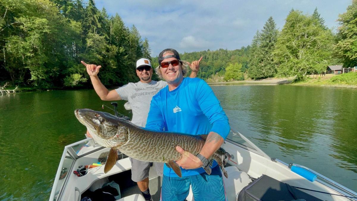 Matt’s first musky 42  lake mayfield WA Mepps